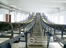 DTII fixed belt conveyor