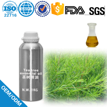 high quality tea tree oil  cold pressed