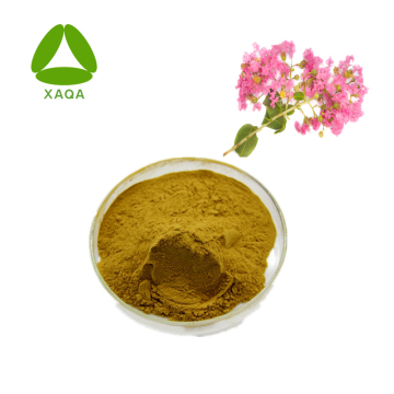 Banaba Leaf Extract Corosolic Acid 10% Powder Price