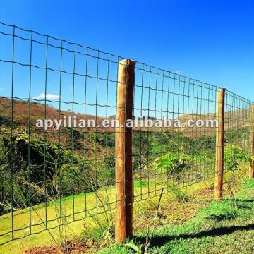 PVC Coated Wire Mesh Fence for boundary wall