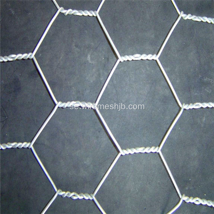 PVC Coted Hexagonal Wire Netting För Kyckling House