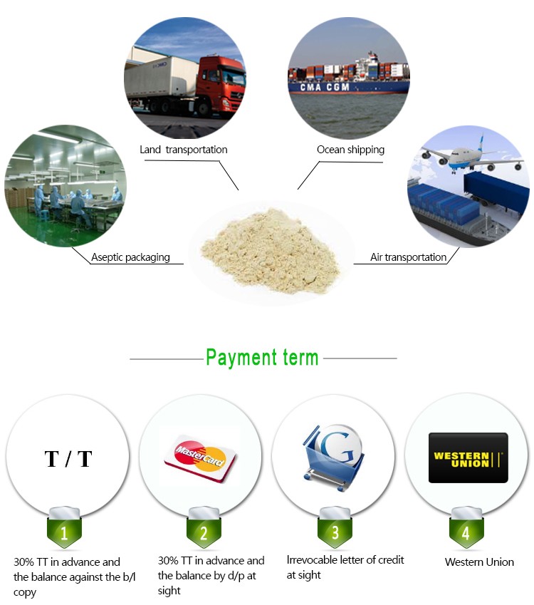 Factory garlic manufacturers garlic powder