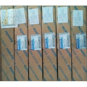 Injektor bahan bakar 6560-11-1114 nozzle untuk Komatsu HD465-7