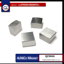 magnetized Alnico magnets