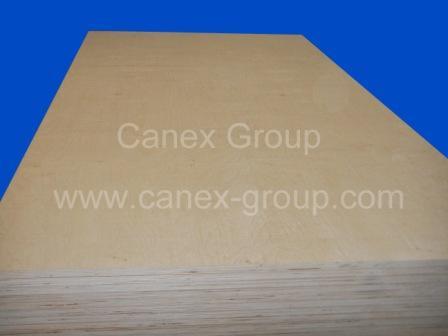 Birch Plywood Russian Birch Plywood Pre-finished Plywood white birch plywood Die board