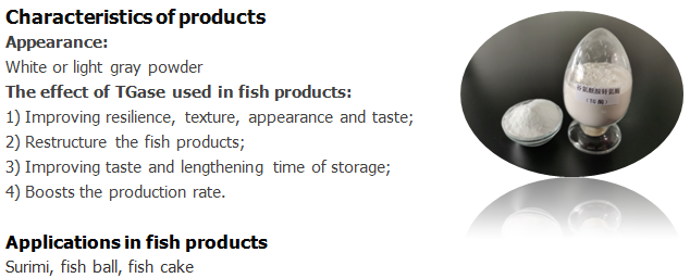 TGase per prodotto ittico TGase for fish product