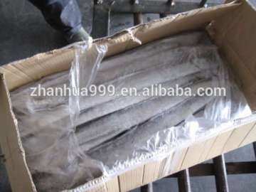 [ ribbon fish ] 250-300-350g ribbon fish frozen fish for market Resturant supermarket