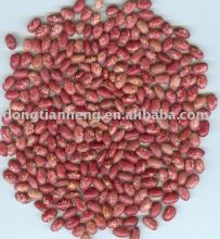 red speckled bean