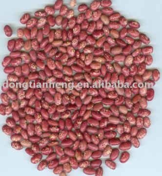 red speckled bean