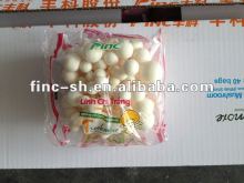 mushroom white shimeji