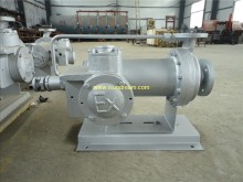 PBW Horizontal Shield Pump (canned motor pump)