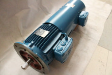WEG Brand Efficiency IE2 Variable Frequency Electric Motor