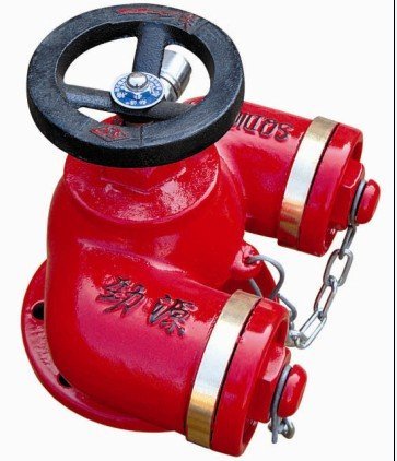 Multi-Functional Pumper Connecton