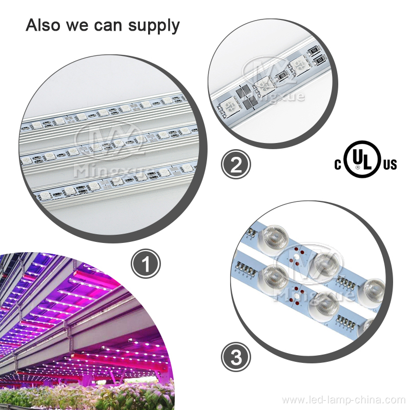 SMD2835 24V DC LED Grow Strip