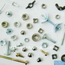Professional supply stainless steel fasteners