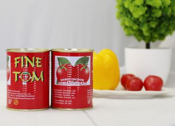 Turkish canned tomato paste tin