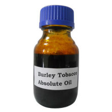 Burley Tobacco Absolute Oil