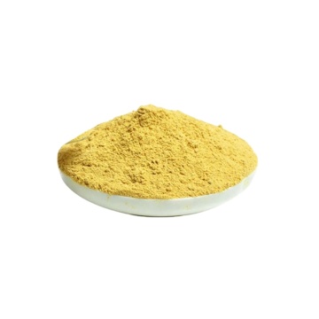 Veterinary Medicine Nifuroxazide Powder CAS 965-52-6