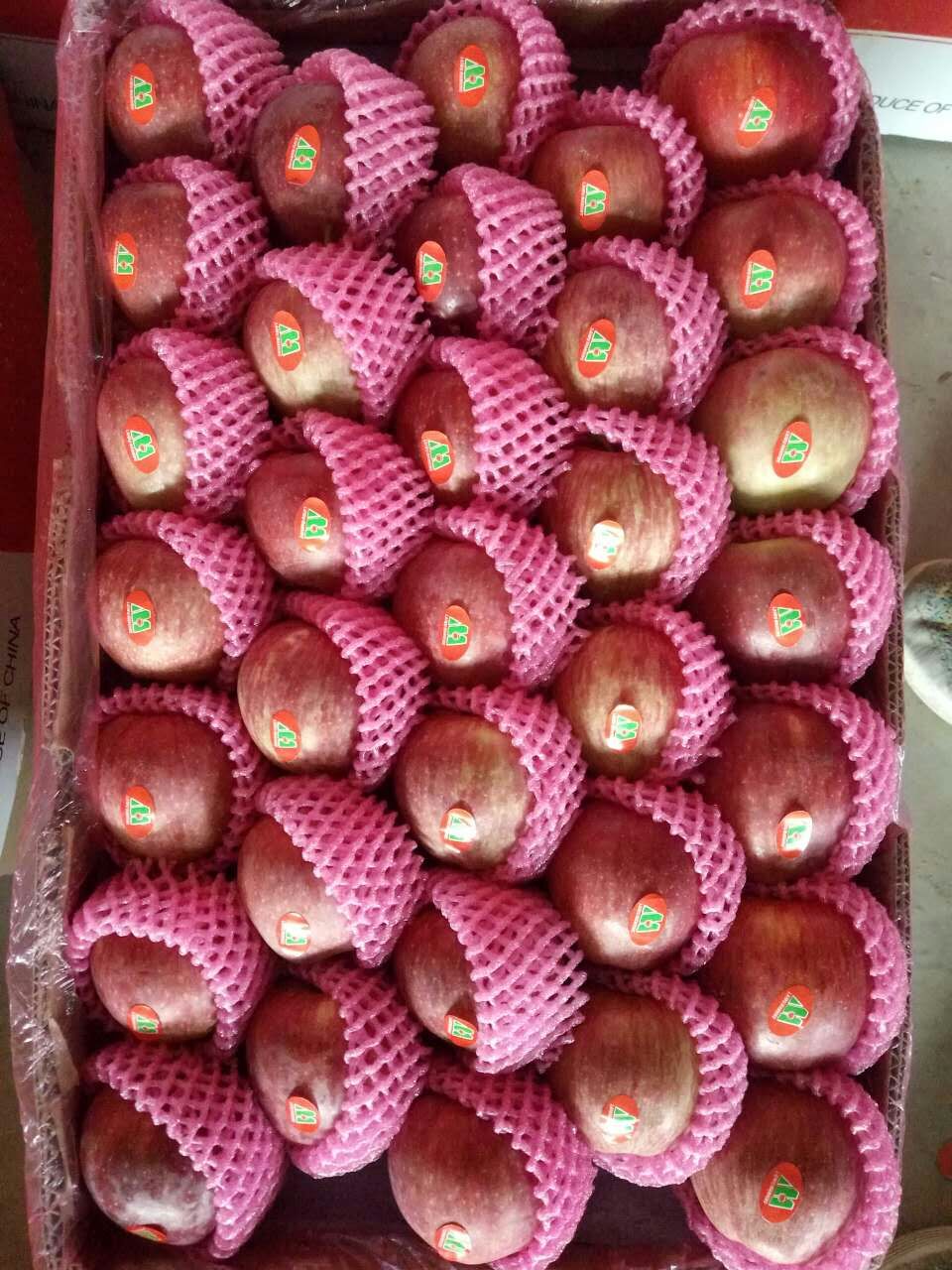 Manzana Estrella Roja Fresca Fresh Red Star Apple