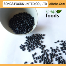 Dry Beans Black Kidney Beans New Crop