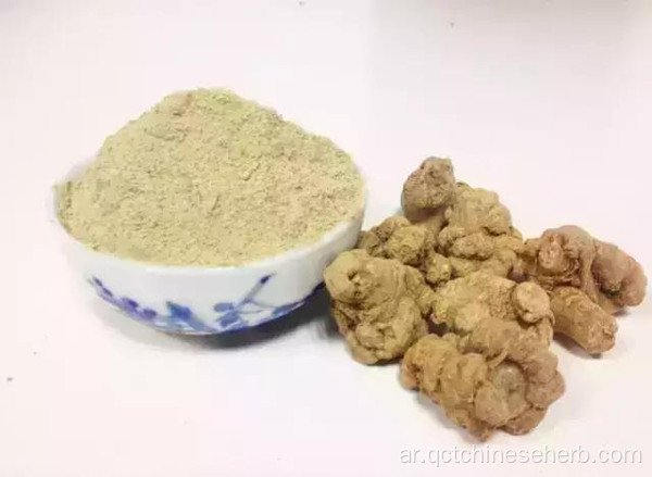 Notoginseng Radix Et Rhizoma