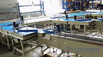 Automatic Multi-Function Packaging instant noodles  wafer cookies Packing line Machines