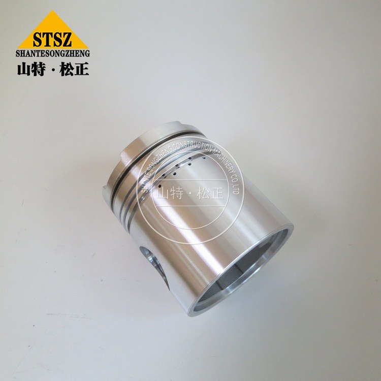 Piese de motor Piston 3048650