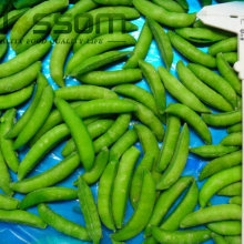 Frozen Soybeans frozen soybean kernel