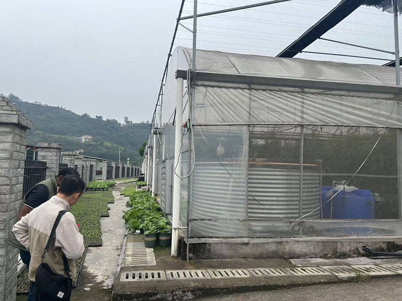 Амерыканскі кліент Джуліян наведвае Qingcheng Agriculture, дасягаючы папярэдняга пагаднення аб будаўніцтве 1000 цяпліц на Кайманавых астравах American Client Julian Visits Qingcheng Agriculture, Reaching Preliminary Agreement on Building 1,000 Greenhouses in the Cayman Islands