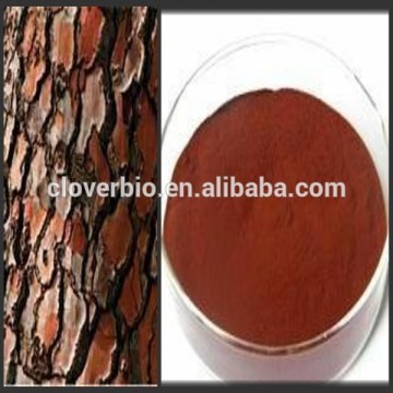 95% natural Proanthocyanidins Pine Bark p.e. extract