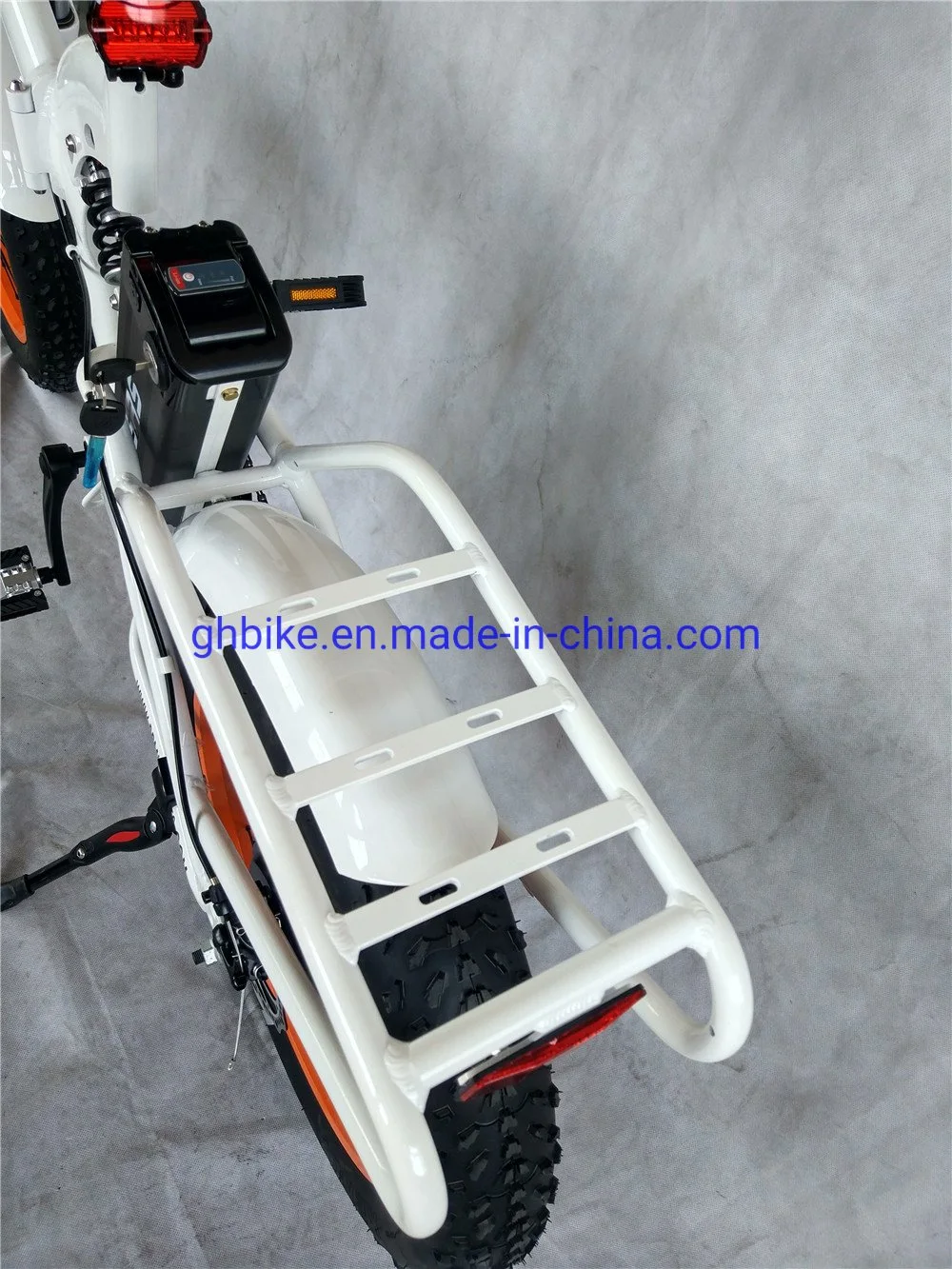 Lithium Battery Bafang 1000 Watt 48V Full Suspension 20
