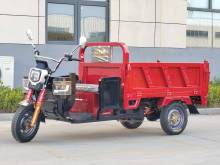 Cargo Electric Tricycle for Efficient Delivery