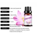 High Grade Pink Lotus Essential Oil Good Smelling Personal Care for Skin Care at Affordable Price