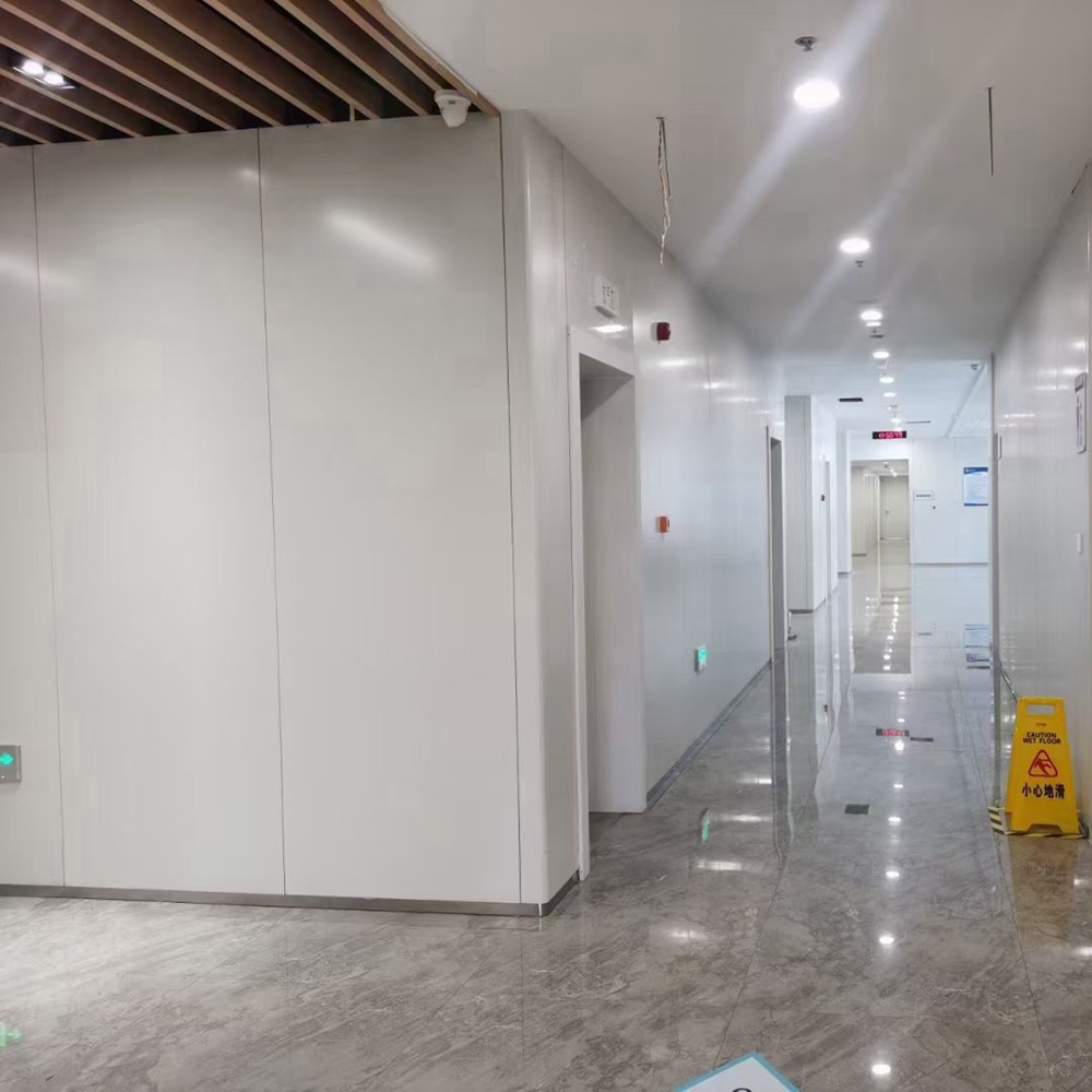 Предварительно окрашенная стальная катушка Prepainted steel coil