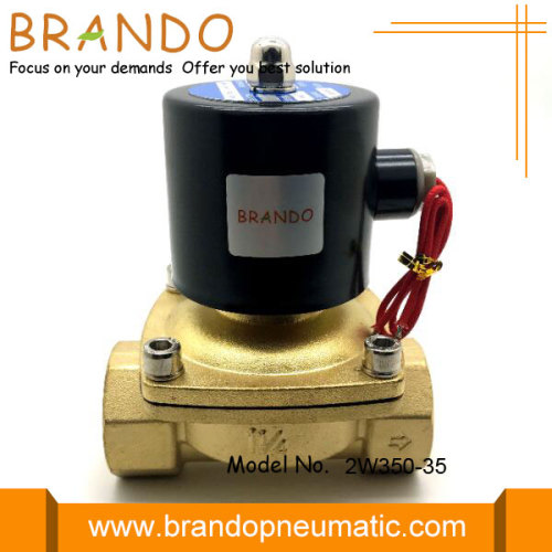 2W350-35 Steam Brass Solenoid Valve