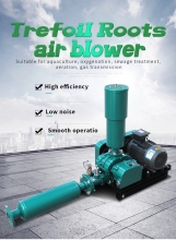 Aquaculture Roots Air Blower