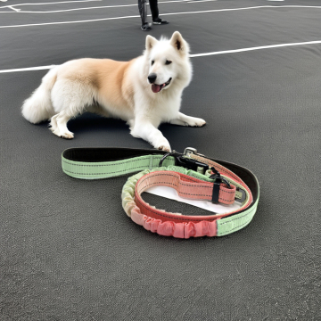 New Pet Products Solid Nylon Collars Dog Leashes