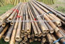 Bamboo for Decoration (Speckled Type)