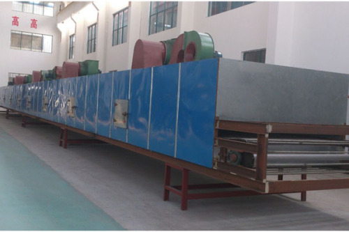 DW Series Mesh-Belt Drying machine for Dehydrated vegetables dryer