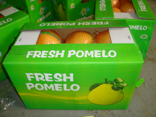 نوعية جيدة من العسل الساخن بيع pomelo