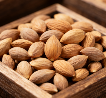 Semen pruni extract powder natural