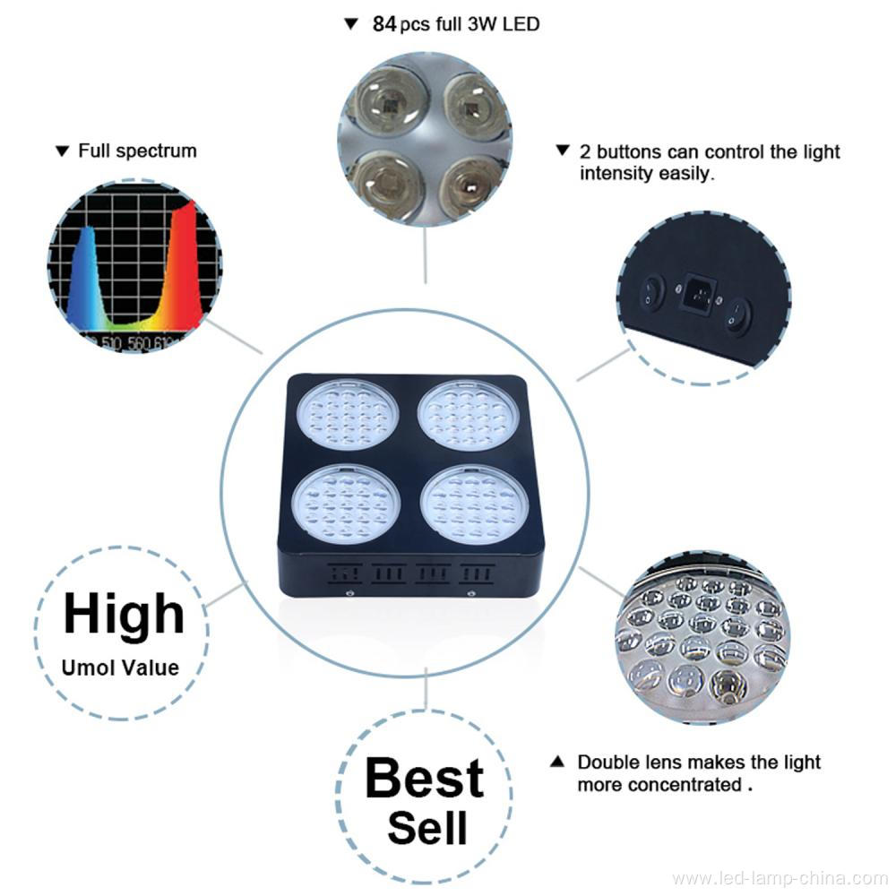 Vegetable Growing LED Grow Light