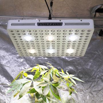 Merry Christmas gift grow light with grow tent