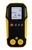 CH4, H2S Portable Gas Detector