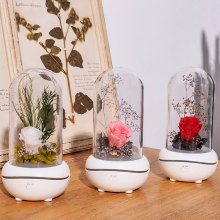 Luxury Flower reed diffuser bottle with stopper