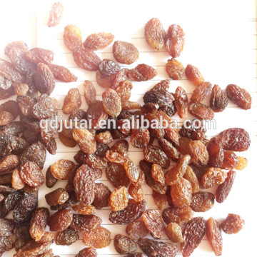 Dried Raisin from Xinjiang