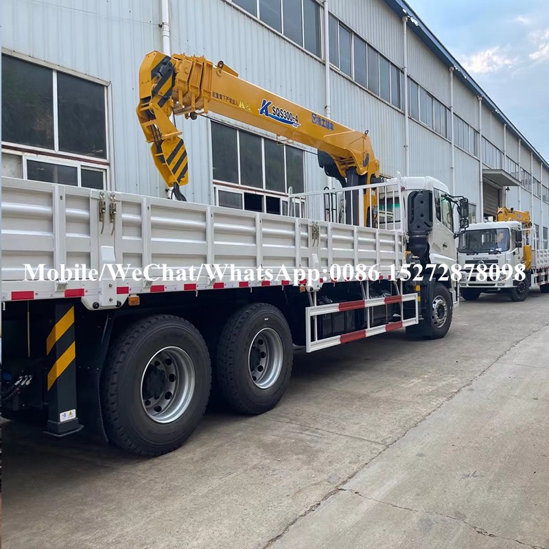 Grúa montada en camión (4) Truck Mounted Crane (4)