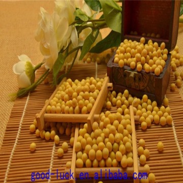 soya beans ,non-GMO,good quality,cheap price