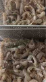 Κατεψυγμένο βαθύ τηγανητό γαρίδες