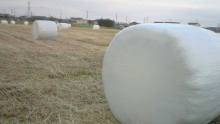 Stretch Wrap Films for Bale Silage